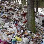 "Мусорный полигон" еще потерпит