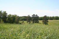 У 2006 році Львів на продажу землі заробив 32,66 млн грн. Цьогоріч поставив планку – 43,02 млн грн