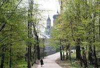 КГГА заявляет, что Черновецкий не запрещал ходить в лес