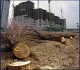 Золотая земля, серебряные акции. В 2006 году вложения в мировую недвижимость принесли 40% годовых, в киевскую — 70%