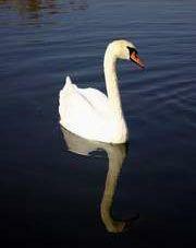 До конца года столичная власть упорядочит водное хозяйство