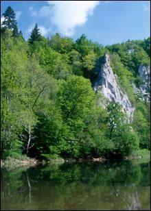 ГКП «Плесо» займется благоустройством на озере Солнечное в Дарницком районе