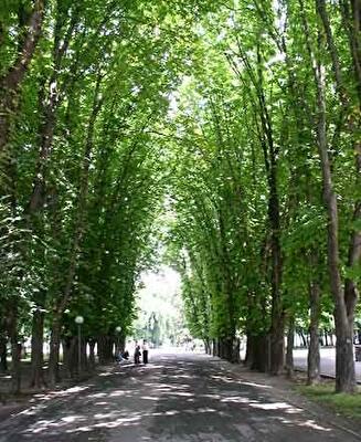 Полтава строит второй «Криворожсталь»