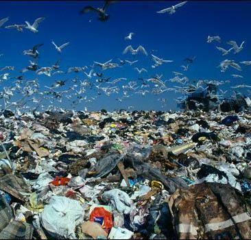 Перемещение столичного мусора