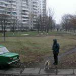 Землю пустят с молотка – кто кому намнет бока