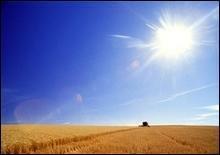 Киев договорился с "Киевским институтом земельных отношений" об установке границ города