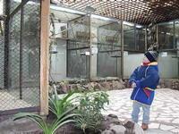 Киевский зоопарк незаконно сдали в аренду ... на 50 лет