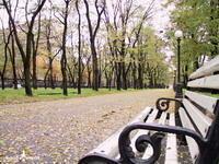 Киеврада превратит Киев в город-сад за 5 лет