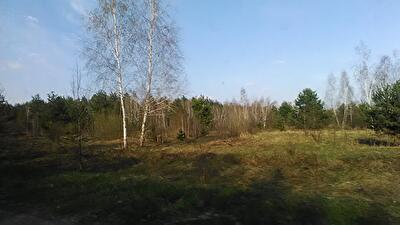 Киевская обл., Макаровский район, с. Нежиловичи