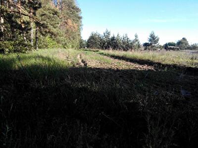 Макарівський район, с. Ніжиловичі