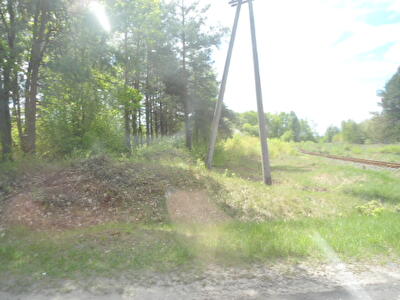 Киевская обл., Макаровский район, пгт Кодра