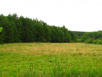 Макарівський район, с. Маковище, Прилесная ул.