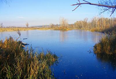 Броварський район, с. Пухівка, Рожевская ул.