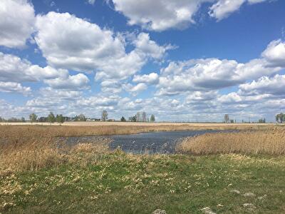Київська обл., Вишгородський район, с. Литвинівка, На Въезде Ленина ул.