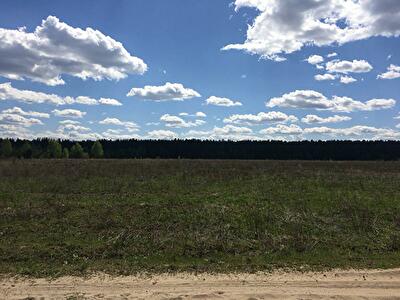 Вишгородський район, с. Литвинівка, Перова ул.