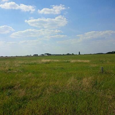 Макарівський район, с. Пашківка, Лесная ул.