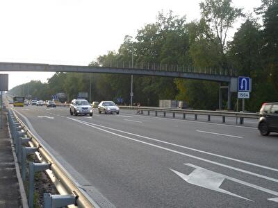 Макарівський район, с. Небелиця, Житомирская ул.