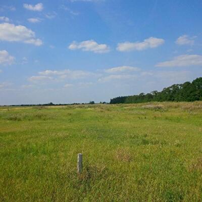 Макарівський район, с. Пашківка