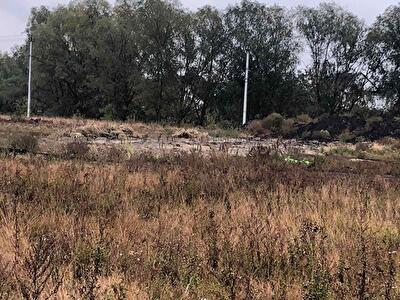 Макарівський район, с. Забуяння