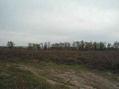 с. Иванков, О. Вишни ул.