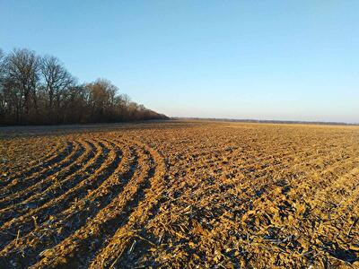 Макарівський район, с. Андріївка, Ленина ул.