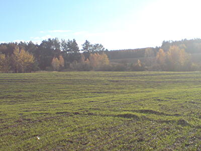 Киевская обл., Киево-Святошинский район, с. Княжичи, Летня ул.
