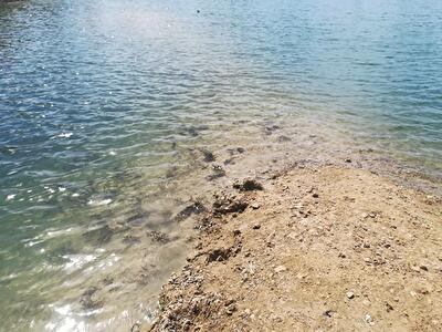 Житомирська обл., Радомишльський район, с. Раковичі