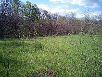 Харьков, Академика Павлова ул.