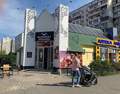 Киев, Княжий Затон ул., 10А