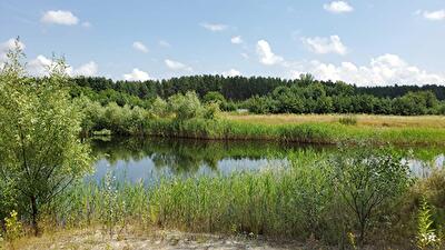 Киевская обл., Вышгородский район, с. Воропаев
