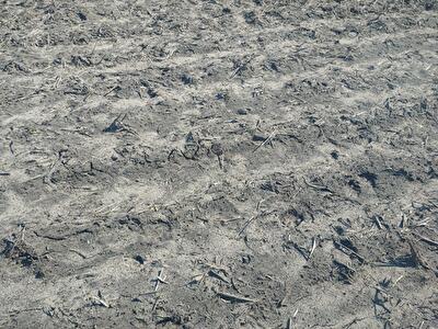 Макарівський район, с. Фасова