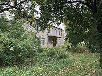 Васильківський район, с. Плесецьке
