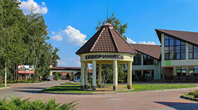 Макарівський район, с. Северинівка