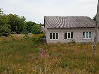 Васильківський район, с. Велика Вільшанка