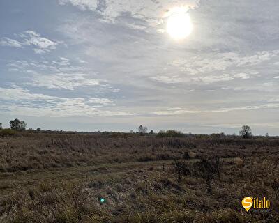 Бориспільський район, с. Гнідин