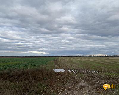 Бориспільський район, с. Петропавлівське