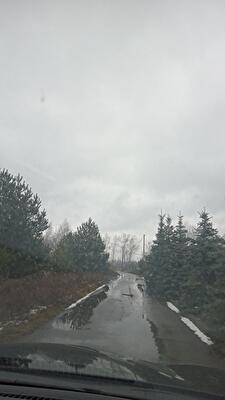 Київська обл., Києво-Святошинський район, с. Віта-Поштова