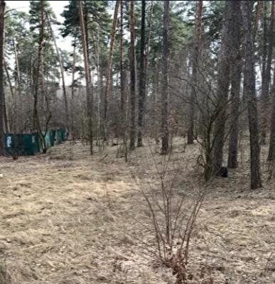 Бучанский район, г. Ирпень, Луговая ул.