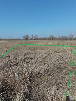 Броварський район, с. Погреби