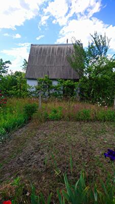 Киевская обл., Сквирский район, с. Великополовецкое