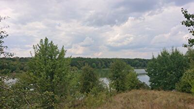 Білоцерківський район, с. Пилипча