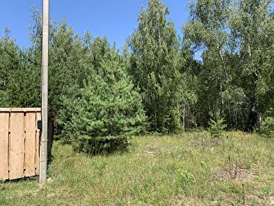 Вишгородський район, с. Хотянівка, Лісова пров.