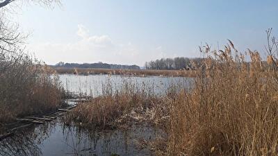 Бориспольский район, с. Воронков, Вороньков, улица Вороньківська с/р