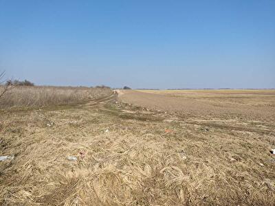 Київська обл., Бориспільський район, с. Вороньків, Вороньков, улица Вороньківська с/р