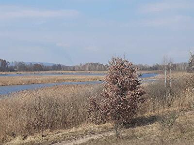 Бориспольский район, с. Головуров, Головурівський с/о