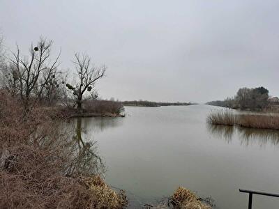 Київська обл., Бориспільський район, с. Вороньків, Вороньков, улица Вороньківська с/р