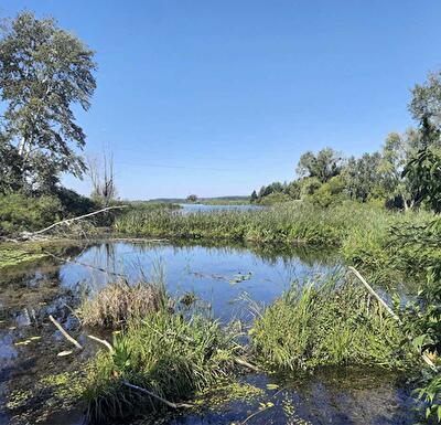 Бориспільський район, с. Головурів