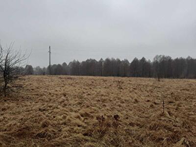 Київська обл., Бориспільський район, с. Вороньків, Вороньков, улица Вороньківська с/р