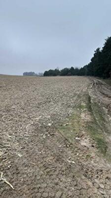 Київська обл., Бориспільський район, с. Вороньків, Вороньков, улица Вороньківська с/р