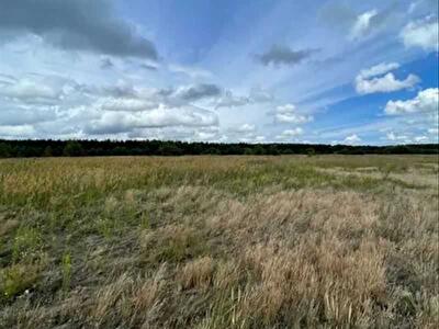 Вышгородский район, с. Абрамовка, нова